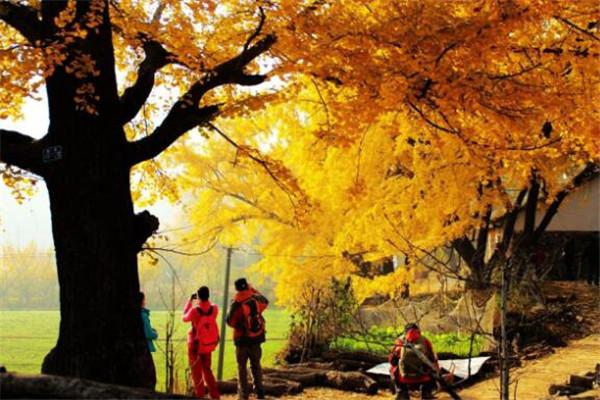 随州八大著名旅游景点,西游记漂流有着“华中第一漂”的美誉,女儿国温泉是休闲放松的佳选