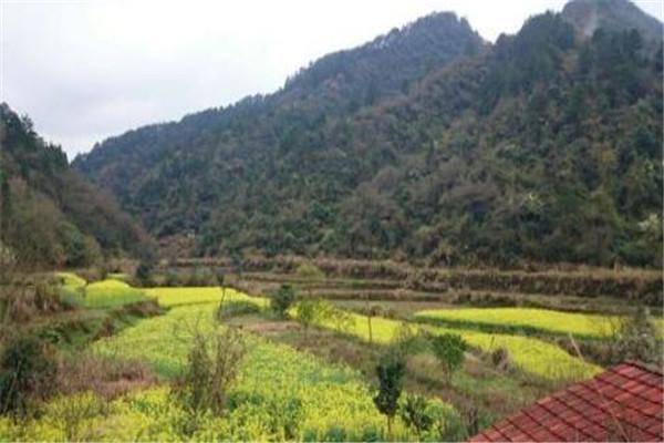 怀化十大最好玩的旅游景点,万佛山是必去景点