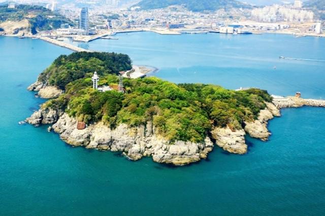 韩国旅游：去济州岛、梧桐岛赏花看海超很有意境，有时间就去吧