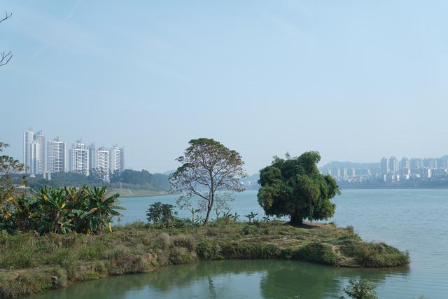 低调南宁,宝藏美味目的地,环境宜人,气候舒适,满地都是好吃的