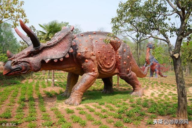 河南十大旅游景区名单分享,河南好看的旅游景点推荐,你去过几个