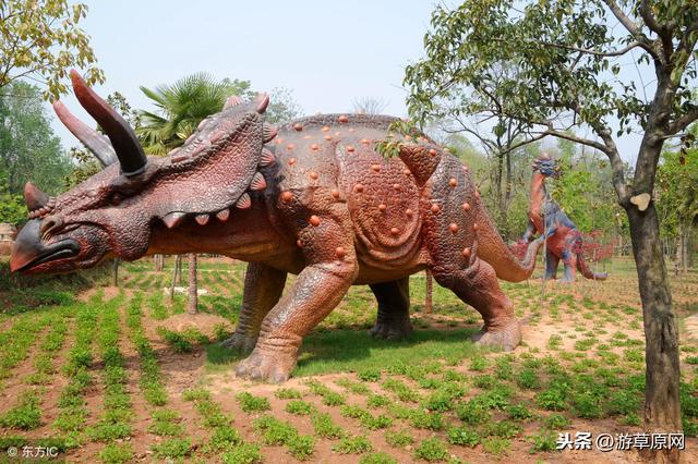 河南十大旅游景区名单分享，河南好看的旅游景点推荐，你去过几个