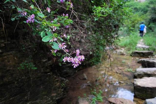 河南最全原生态旅游景点:人少,全部免门票!(附出行路线)