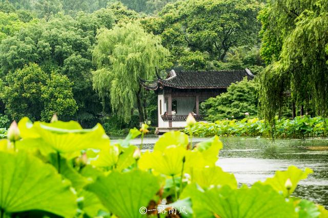 又是一年春天,杭州展现出最美的一面,诗情画意引人入胜!