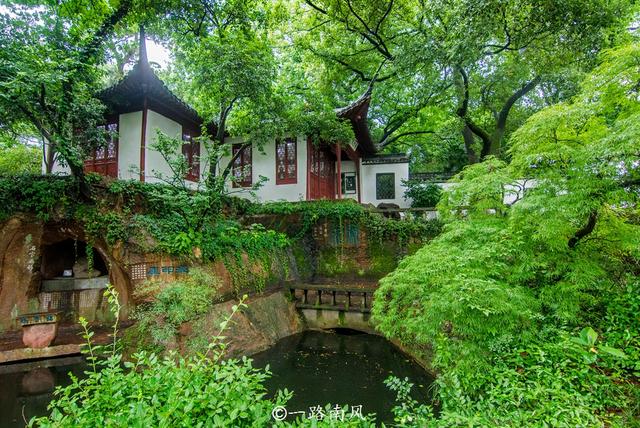 又是一年春天,杭州展现出最美的一面,诗情画意引人入胜!