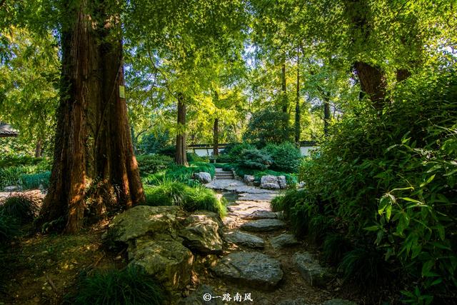 又是一年春天,杭州展现出最美的一面,诗情画意引人入胜!
