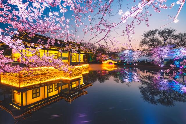 这里的樱花比日本还美,被誉为“世界三大赏樱胜地之一”