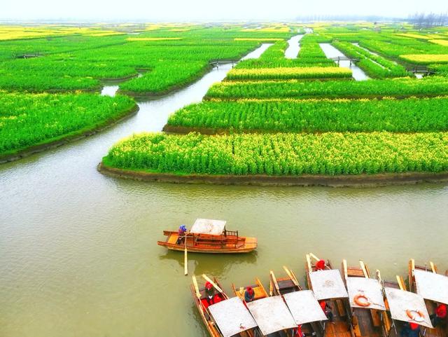 人民网点赞，中国最美水上油菜花田