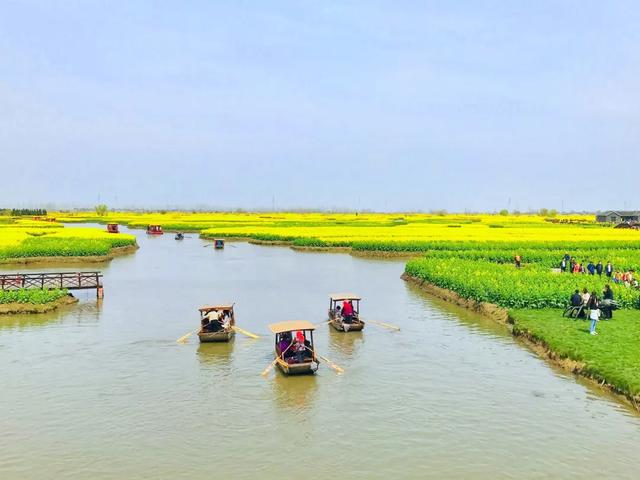 人民网点赞，中国最美水上油菜花田