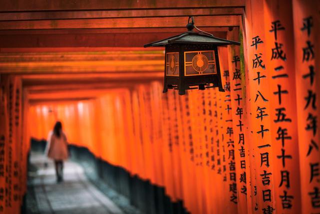 漫步在粉色的花海，你知道和不知道的关西拍樱好去处