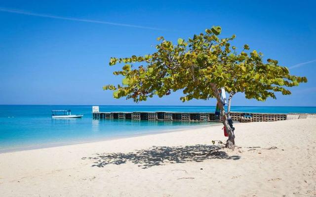 海岛之旅：盘点加勒比海地区最受欢迎的五个岛屿，宁静而优美