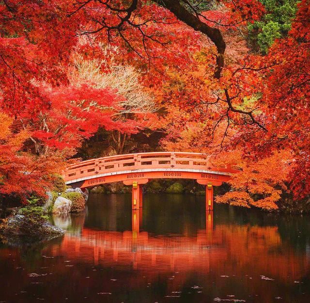 日本旅游别只惦记着樱花，醍醐寺比樱花可美多了