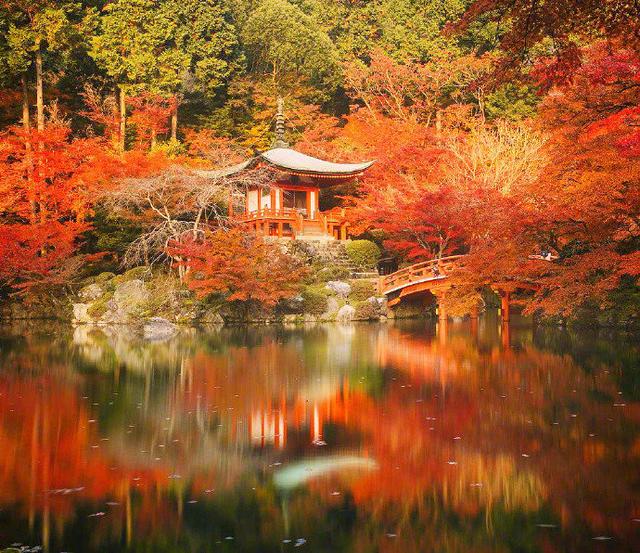 日本旅游别只惦记着樱花,醍醐寺比樱花可美多了