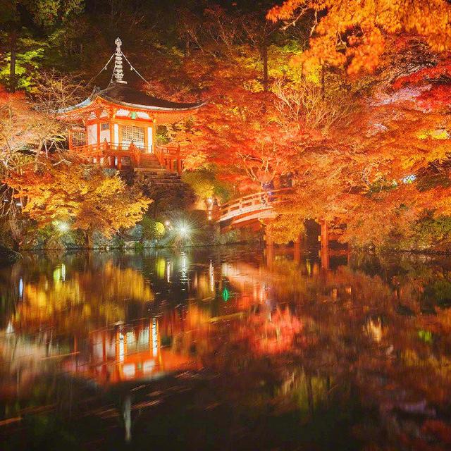 日本旅游别只惦记着樱花,醍醐寺比樱花可美多了