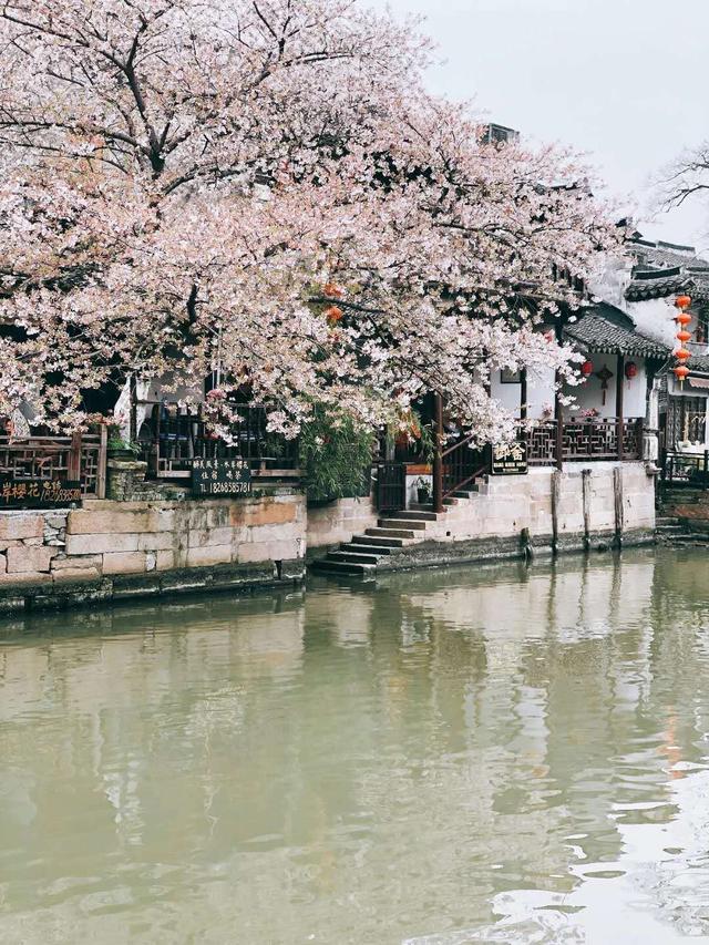 烟花三月下江南,去一座从唐代游到清代的古镇,就藏在西湖边上!