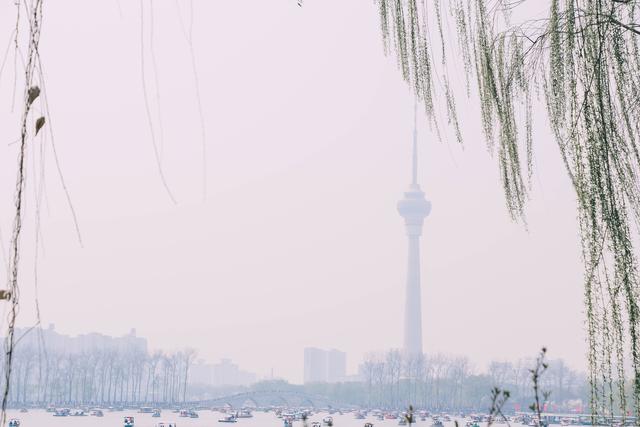 赏花季,北京这个樱花盛放的公园,吸引游客无数