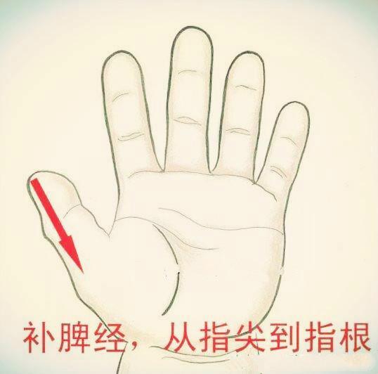 脾若虚,身则差。春季养生不光养肝,养好脾胃才能不再生病!