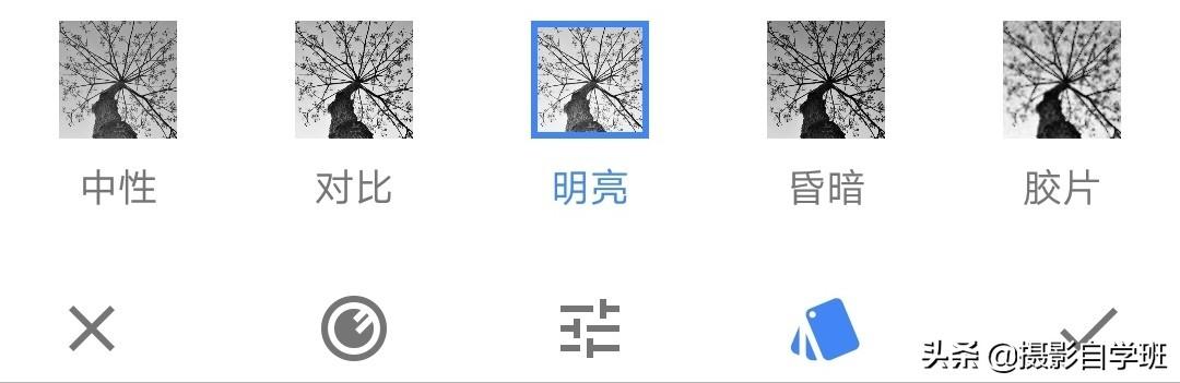 简约又好看的照片,怎么拍?这4个摄影技巧,让你学会