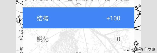 简约又好看的照片,怎么拍?这4个摄影技巧,让你学会