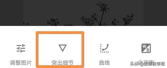 简约又好看的照片,怎么拍?这4个摄影技巧,让你学会