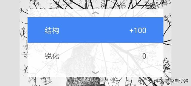 简约又好看的照片,怎么拍?这4个摄影技巧,让你学会