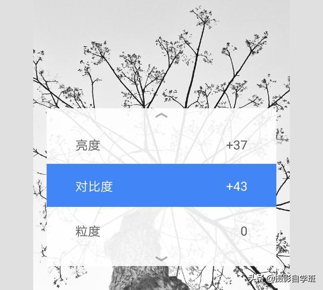 简约又好看的照片,怎么拍?这4个摄影技巧,让你学会