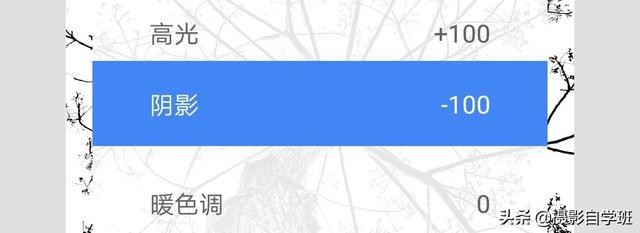 简约又好看的照片,怎么拍?这4个摄影技巧,让你学会