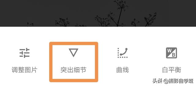 简约又好看的照片,怎么拍?这4个摄影技巧,让你学会