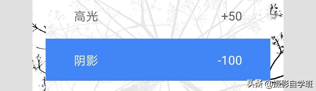 简约又好看的照片,怎么拍?这4个摄影技巧,让你学会
