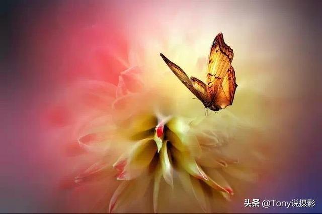 完整的摄影口诀,你要的摄影知识都在这