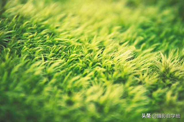 摄影一段时间,不知道拍啥了怎么办?这4句口诀帮你拓宽摄影思路