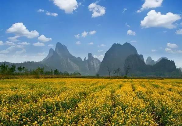 广东这一小众村落,犹如画中秘境,春秋景色各不同