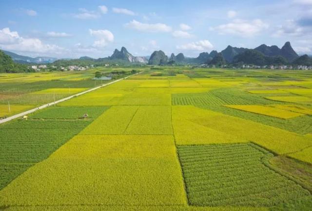 广东这一小众村落,犹如画中秘境,春秋景色各不同
