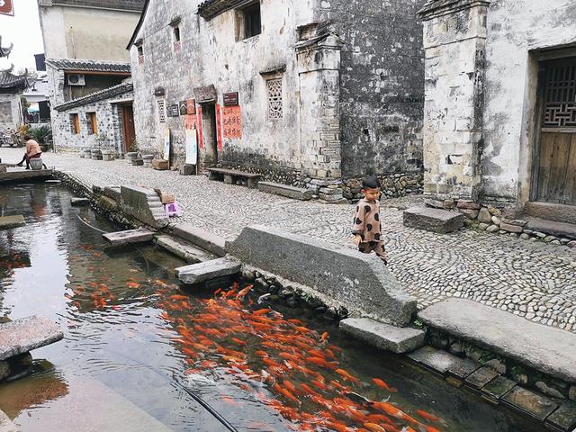 浙江一座宁静的古镇，建筑和丽江古城颇为相似，知道的人不多