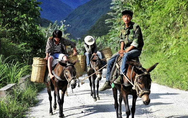 墨脱公路多难修?117公里耗费50年,通往中国最神秘的县城