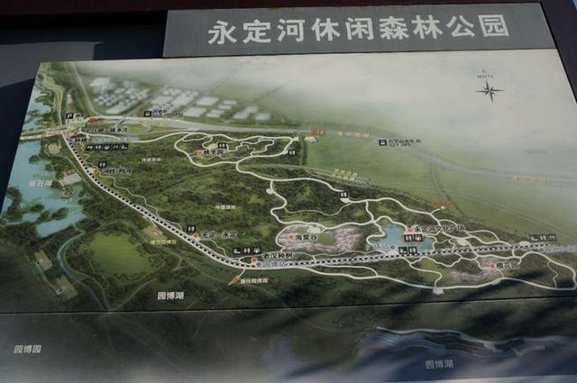 火车也能开进公园？北京免费的赏花之地，横跨了三个重要区县