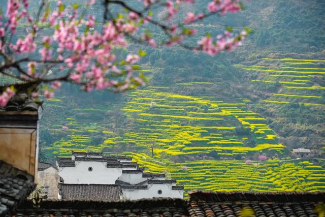 你好,我是梨白桃红、油菜花黄满山野的婺源