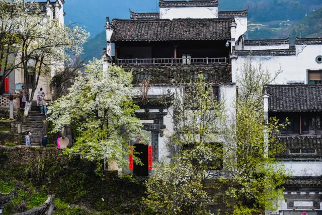 你好,我是梨白桃红、油菜花黄满山野的婺源