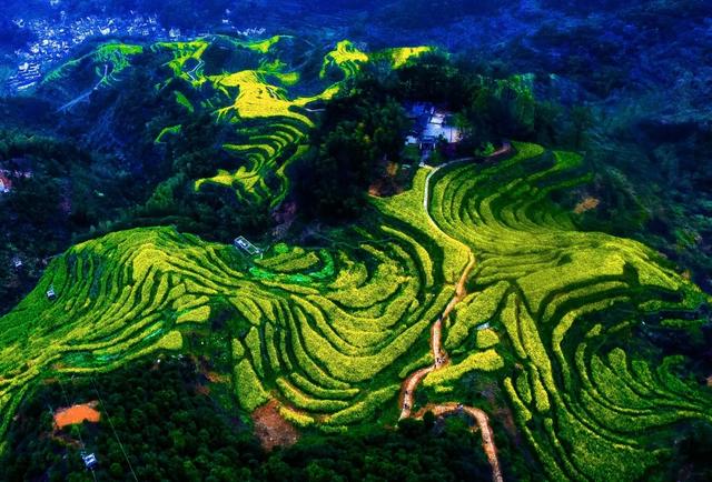你好,我是梨白桃红、油菜花黄满山野的婺源