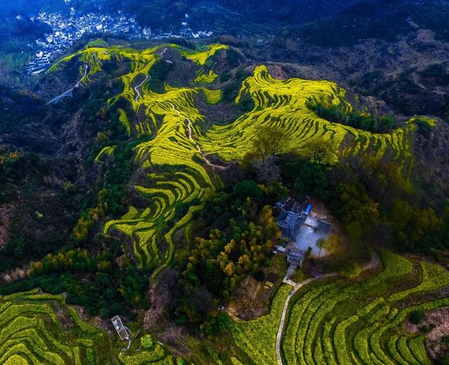 你好,我是梨白桃红、油菜花黄满山野的婺源