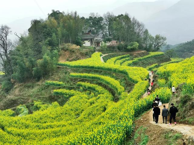 你好,我是梨白桃红、油菜花黄满山野的婺源