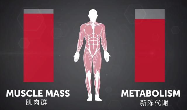 8种有效增肌训练,增加肌肉促进激素分泌,快速燃脂减肥瘦身塑形
