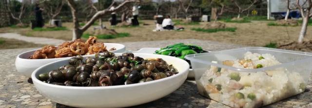 繁花赏乌村,“野火饭”尝春味,重启2020年吧!