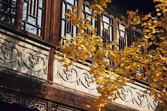 繁花赏乌村,“野火饭”尝春味,重启2020年吧!