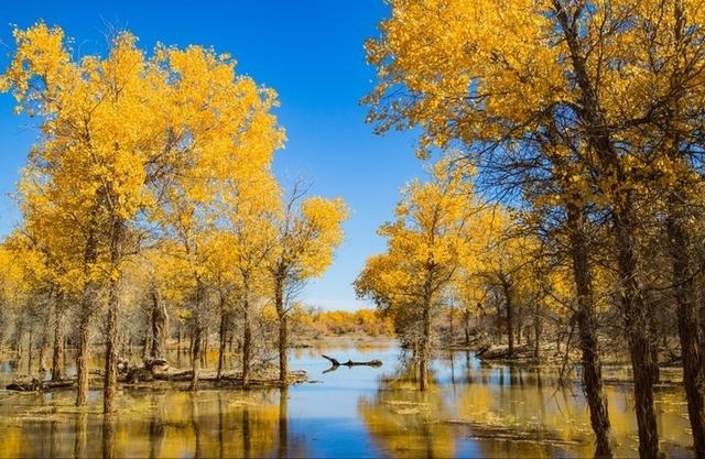 下半年适合一个人旅行的15个地方，累了就出去走一走！