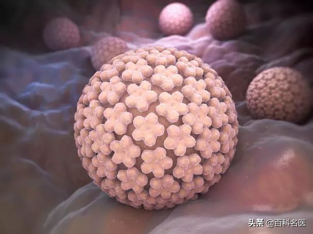 健康谣言101 哪条戳进你心窝?