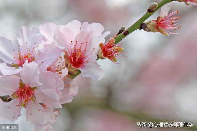 春季养生必备:脾胃养的好,疾病不来找!多吃7种食物,2件事少做