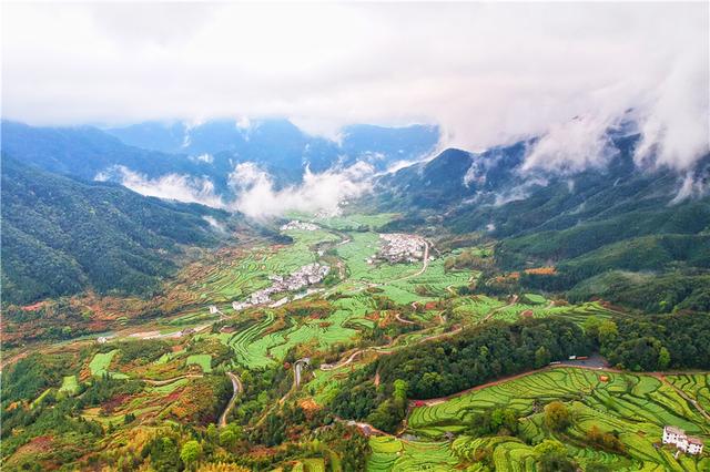 实拍中国最美乡村的春天,婺源万亩油菜花盛放,云海梯田天上人间