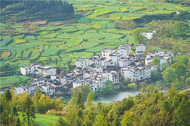 实拍中国最美乡村的春天,婺源万亩油菜花盛放,云海梯田天上人间