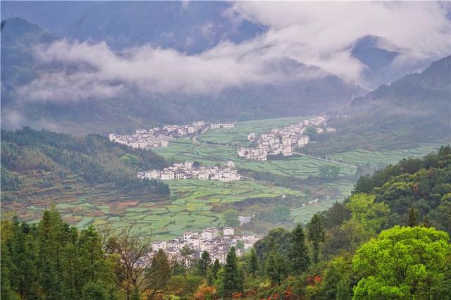 实拍中国最美乡村的春天,婺源万亩油菜花盛放,云海梯田天上人间